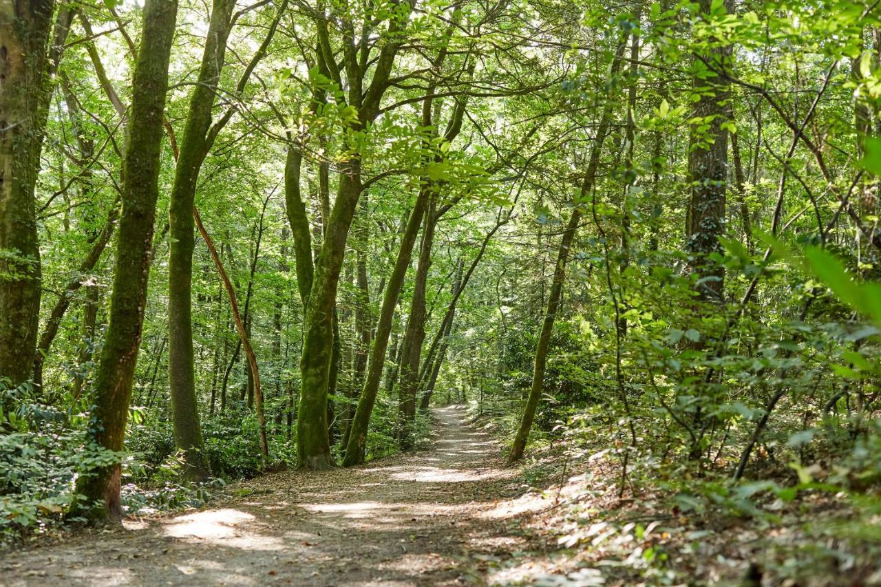Gite De Pen Vraz Plougoumelen Exteriör bild